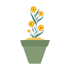pot in green color with flowers plant