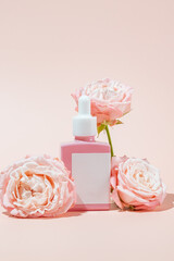 Serum in pink glass dropper bottle pink roses on light peach background. Natural skin care product. Beauty routine still life. Trendy product for branding. Front view.