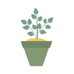 Obraz premium pot in green color with flowers plant