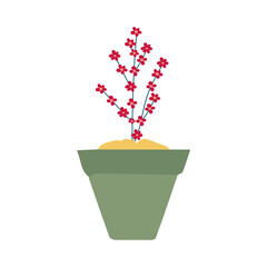 pot in green color with flowers plant