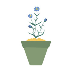 pot in green color with flowers plant