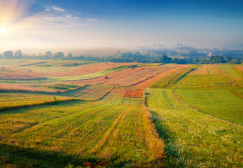 Spectacular summer sunrise on the Ukrainian countryside. Bright morning scene of fields of wheat and corn, Ternopil outskirts location, Ukraine, Europe. Beauty of countryside concept background..