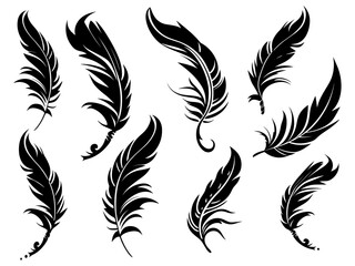 Set of detailed majestic feather collection. Bird Feather black silhouettes. Plumelet collection. Vector isolated on white - obrazy, fototapety, plakaty