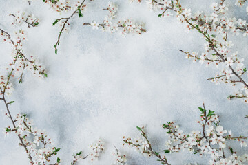 White flowers of plum tree on gray background. Flat lay, top view. Copy space background.