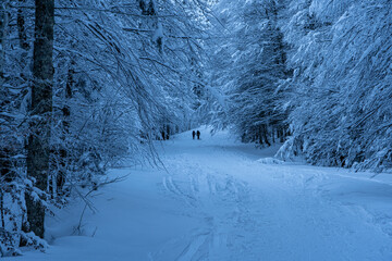 Winterwanderung von Urfeld zum Hervorstand