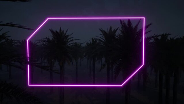 Pink neon frame palm tree fog jungle 4k