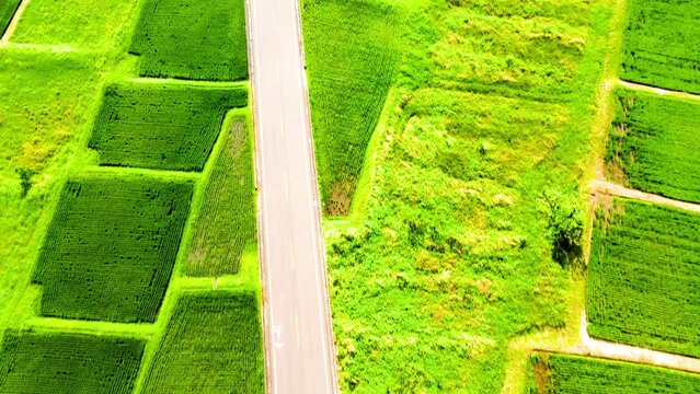 King Kong Avenue (King Kong Boulevard, Diamond Avenue, Tadao bike trails) route surrounded by mountains, terraced fields and the sea located at Taitung, eastern Taiwan