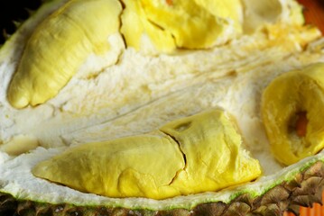 Durian fruit, close up view of the king of the fruit, exotic tropical fruit