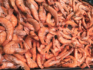 A lot of sea shrimp. Sea food like shrimp or krill on the street food festival. Shrimps. Cooked red shrimps. Copy space