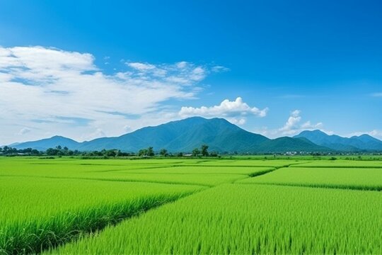 Scenic rice paddy field with lush greenery under clear blue sky and mountains in rural Thailand. Generative AI