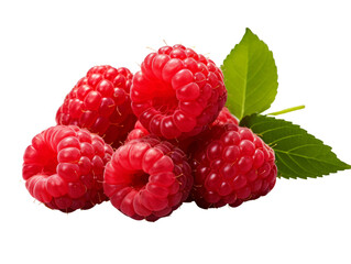 Lush red raspberries with a green leaf on top. Transparent background.