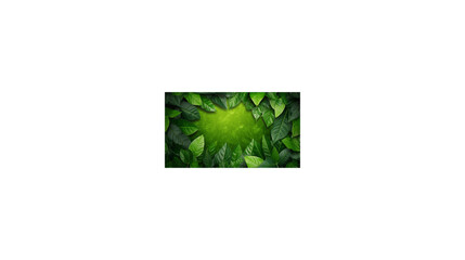 leaf illustration background