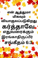 Tamil Bible Verses 