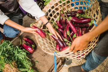 cropped view a hand picking vegetables from a basket at farmer market
