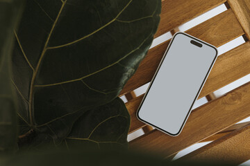 Mobile phone and ficus leaves on wooden table. Flat lay, top view. Aesthetic copy space mockup...