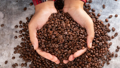 Two hands are full of roasted brown coffee beans
