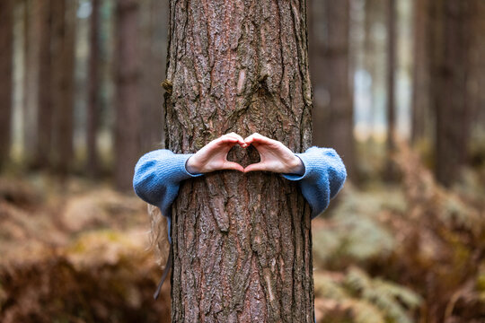 Woman gesturing heart shape over tree trunk in Cannock chase forest