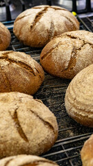 Naklejka premium Freshly Baked Bread 