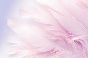  a close up of a white feather on a blue and pink background with a blurry image of the feathers.