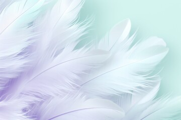  a close up of some white feathers on a blue and green background with a blurry image of the back of the feathers.