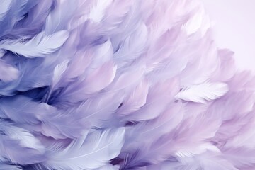 Fototapeta na wymiar a close up of a bunch of purple and white feathers on a white background with a blurry image of the feathers.