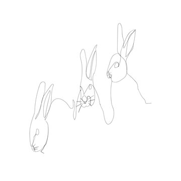 Continuous Line Drawing Rabbit Animal. Rabbit Drawing Images, Photos, Pictures. Illustration Icon Vector