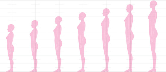 横から見た人間の身長バランス。
6頭身7頭身8頭身9頭身の
女性体形のイラスト