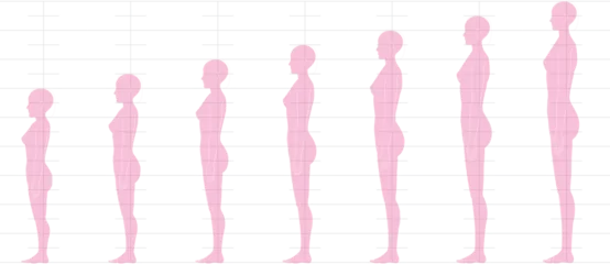 Foto op Canvas 横から見た人間の身長バランス。 6頭身7頭身8頭身9頭身の 女性体形のイラスト © hiro