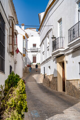 Fototapeta na wymiar Medina Sidonia. City streets and white homes of the Pueblo Blanco in Andalusia