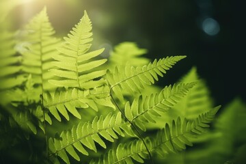  a close up of a green plant with the sun shining through the leaves on the other side of the plant.