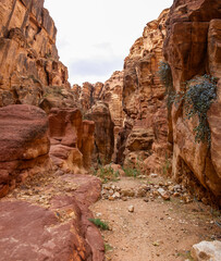 Petra archaeological park at very cold winter day - 709615935