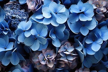  a close up of a bunch of flowers with blue and pink flowers in the middle of the petals and the center of the flowers in the middle of the petals.