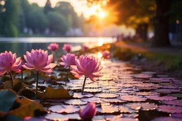 Foto op Canvas  a group of pink water lilies sitting on top of a lake next to a lush green field of leaves. © Nadia