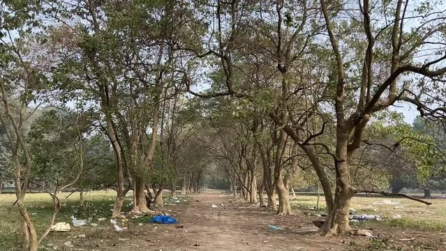 Front view shot of a pathway surrounded with trees and some plastic wastes thrown at a side of it during afternoon in Kolkata, India. Brigade ground after CPM Rally 2024.