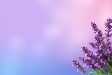  a close up of a bunch of lavender flowers on a blurry background with a blurry sky in the background. - obrazy, fototapety, plakaty