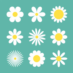 Obraz premium Daisy Camomile big set. Nine white chamomile icon. Cute round flower plant collection. Different shape. Love card symbol. Growing concept. Flat design. Isolated. Green background.