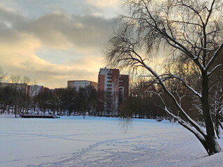 Winter skies over a small pond