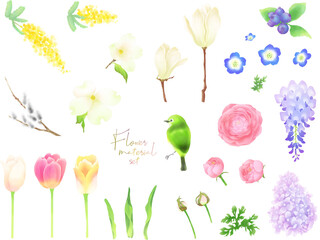 花の素材セット（春）