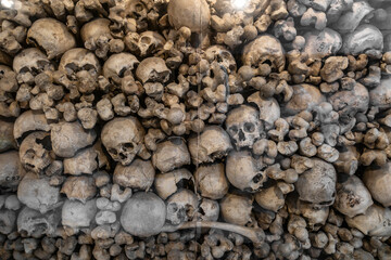 Skulls on display in the Ossuary in Kranj city, Slovenia. - 709632912