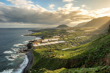 Green banana plantations in the rocky coast of Tenerife island, Spain