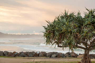 Crescent Head Beach © Chris