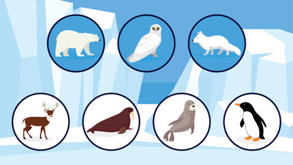 Vector illustration of polar bear, penguin, antarctic animal, penguin.