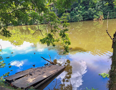 Lake that is close to the entrance. In the scene there is a small wooden deck, ducks and birds flying.