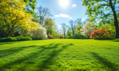 Foto auf Acrylglas Pistache Vibrant spring nature backdrop with a pristine, neatly trimmed lawn and lush trees under a clear blue sky adorned with soft clouds on a sunny day