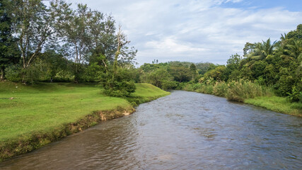 Fototapeta na wymiar River stream near the rainforest jungle in Malaysia.