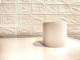 White, soft double-layered toilet paper on a flat surface against a textured white wall. Abstract background, place for text, copy space