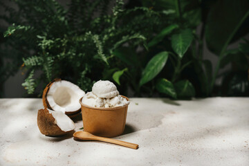 Fototapeta na wymiar Vegan coconut ice cream in paper cup