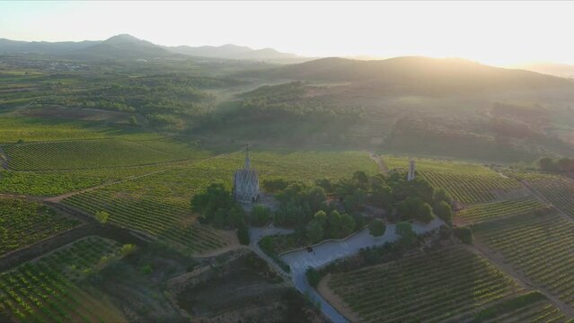 Green vineyards and Mare de Deu de Montserrat Sanctuary. Montferri, Tarragona