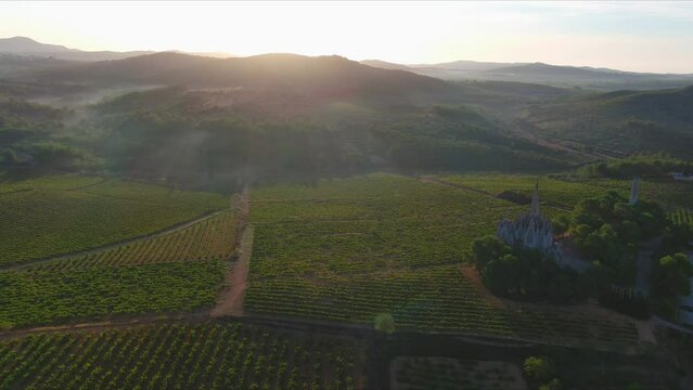Aerial view of Sanctuary of Mare de D&eacute;u de Montserrat and vineyards, Montferri 