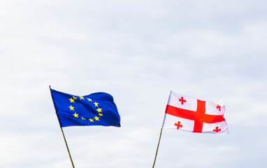 European union flag